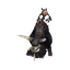 Buffalo Slave