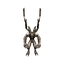 Kleopora