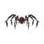 Crimson Spider