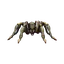 Atrox