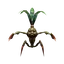 Mandragora Sprout