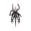 Spectral Lord