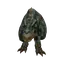 Tyrannosaurus